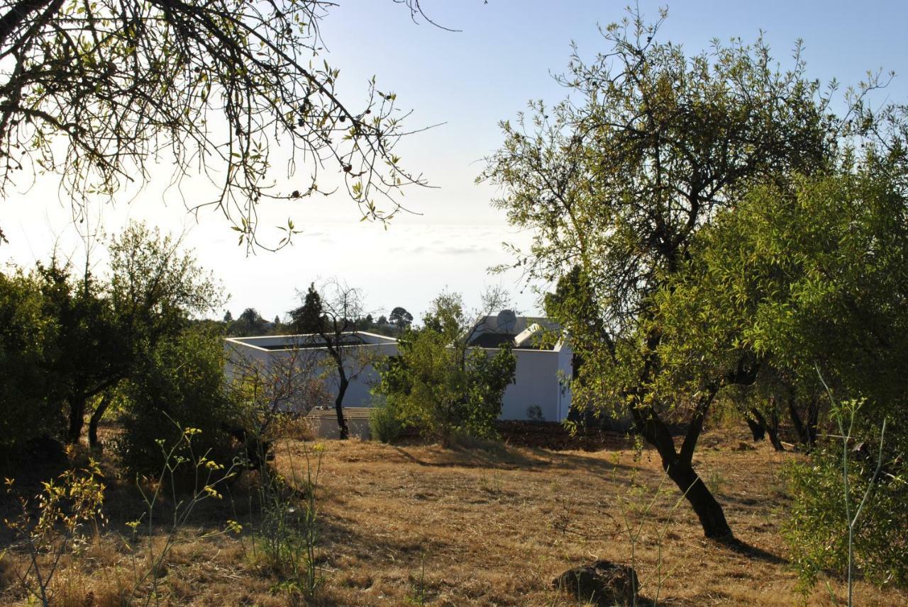 Villa Horizonte Puntagorda Exteriér fotografie